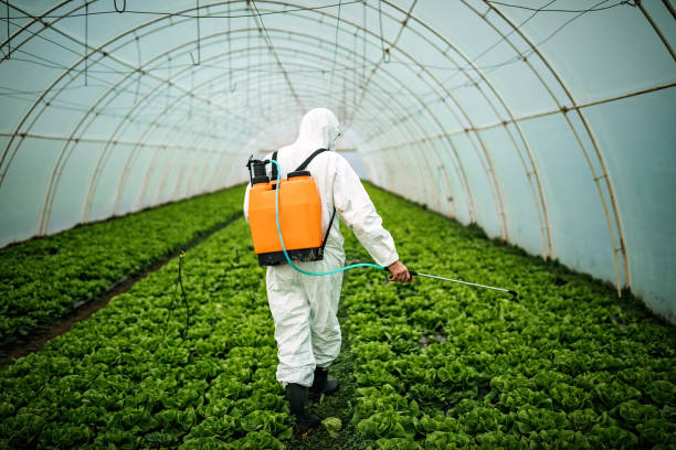 Best Best Pest Control Companies  in Belvedere, SC