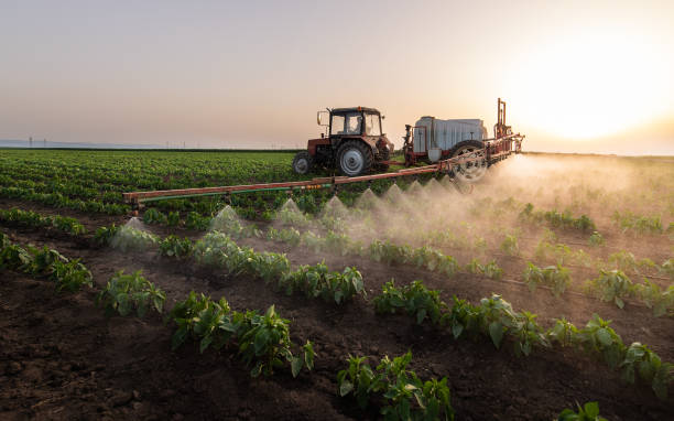 Best Commercial Pest Control Services  in Belvedere, SC