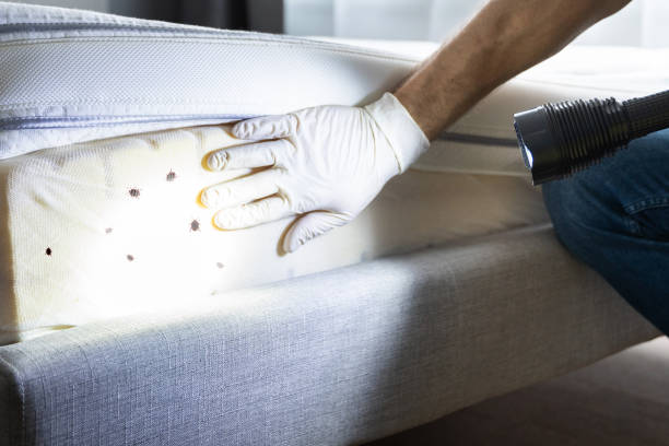 Best Pest Prevention Services  in Belvedere, SC