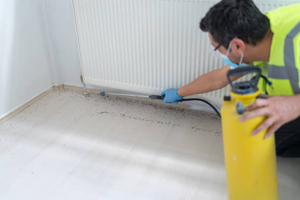 Best Termite Control Services  in Belvedere, SC