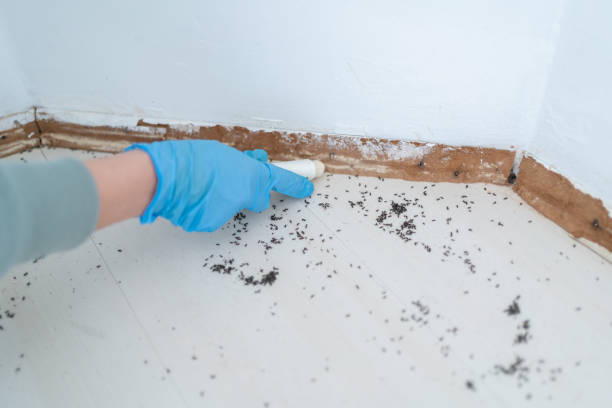 Best Pest Inspection Near Me  in Belvedere, SC