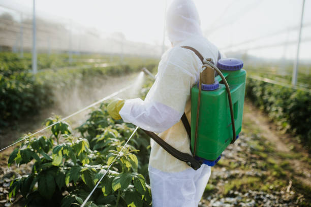 Pest Prevention Services in Belvedere, SC